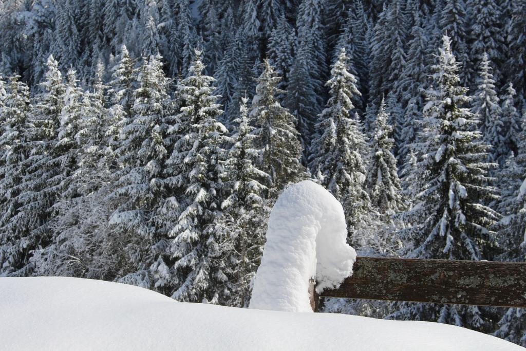 Bad Bergfallerhof Olang Exteriör bild