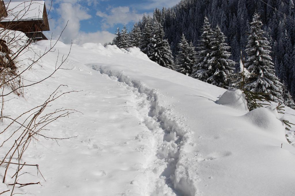 Bad Bergfallerhof Olang Exteriör bild